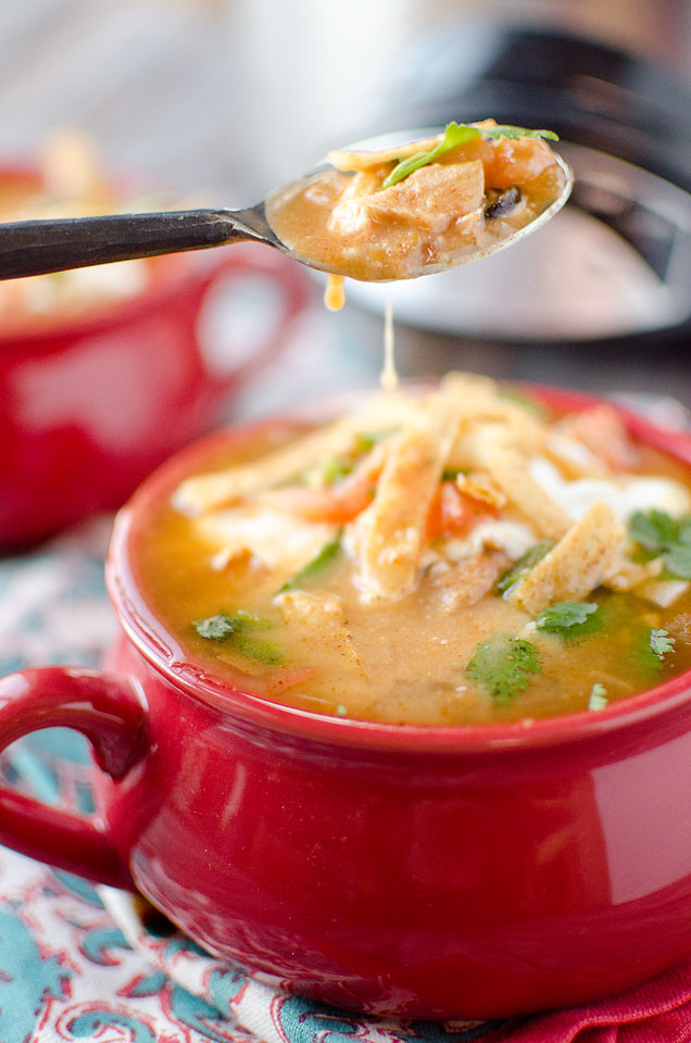 Chicken Tortilla Soup Crock Pot Healthy
 Crock Pot Chicken Tortilla Soup Page 2 of 2