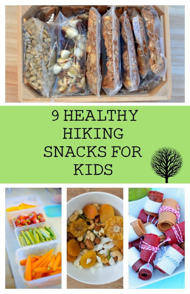 Childrens Healthy Snacks
 Kid Approved Healthy Hiking Snacks