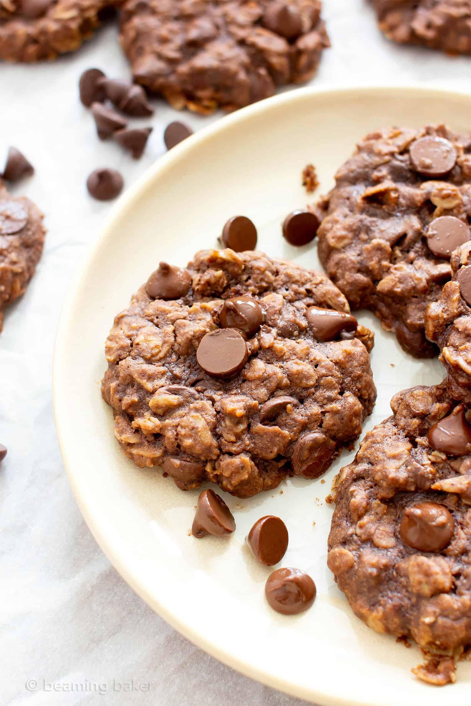 Choc Chip Oatmeal Cookies Healthy
 Vegan Double Chocolate Chip Chewy Oatmeal Cookies Gluten