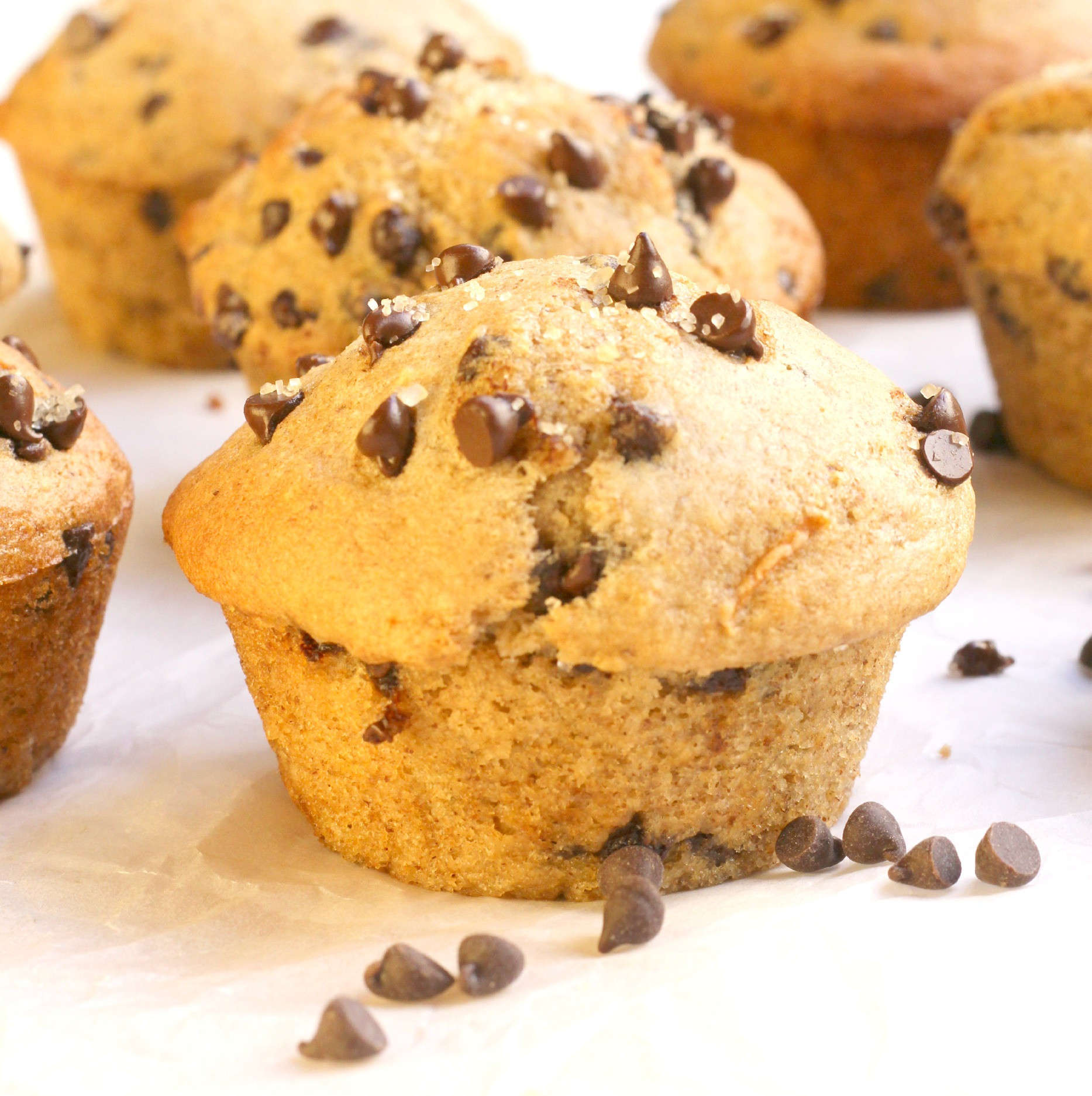Chocolate Chip Muffins Healthy
 Healthy Chocolate Chip Muffins Bakery Style