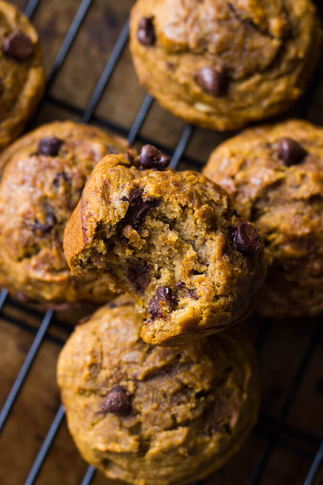 Chocolate Chip Muffins Healthy
 Healthy Chocolate Chip Pumpkin Muffins Little Broken