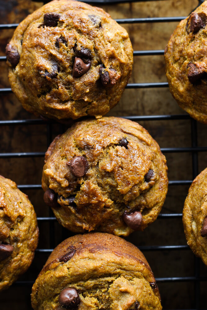 Chocolate Chip Muffins Healthy
 pumpkin chocolate chip muffins healthy