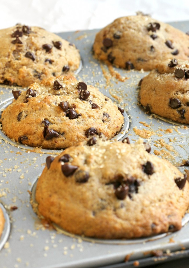 Chocolate Chip Muffins Healthy the Best Healthy Chocolate Chip Muffins Bakery Style