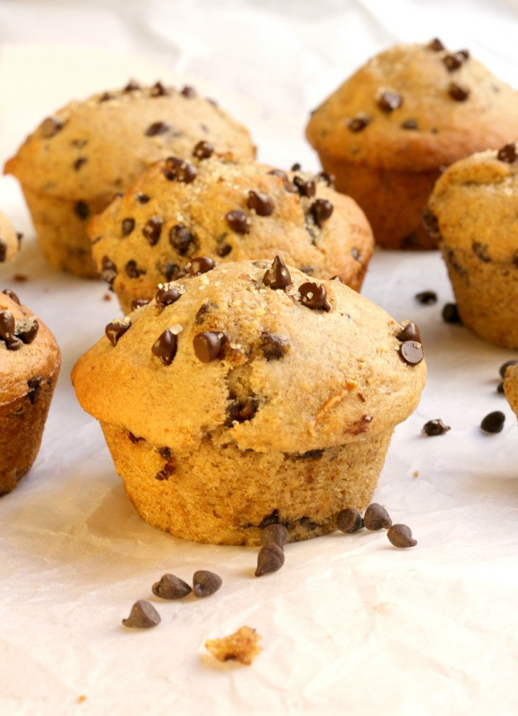 Chocolate Chip Muffins Healthy
 Healthy Chocolate Chip Muffins Bakery Style