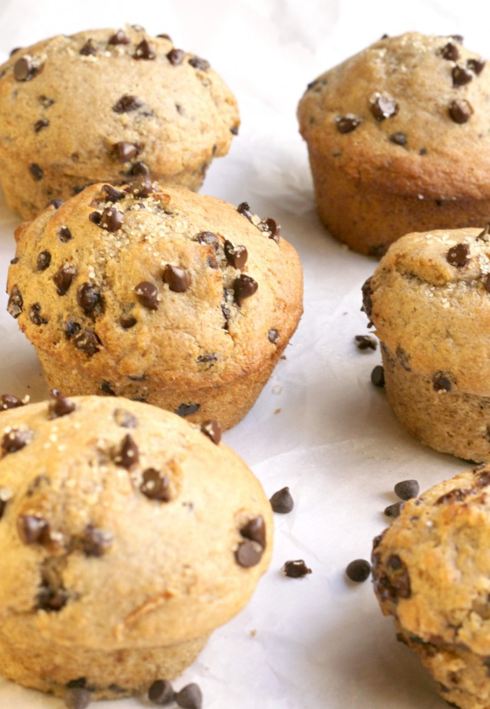 Chocolate Chip Muffins Healthy
 Healthy Chocolate Chip Muffins Bakery Style