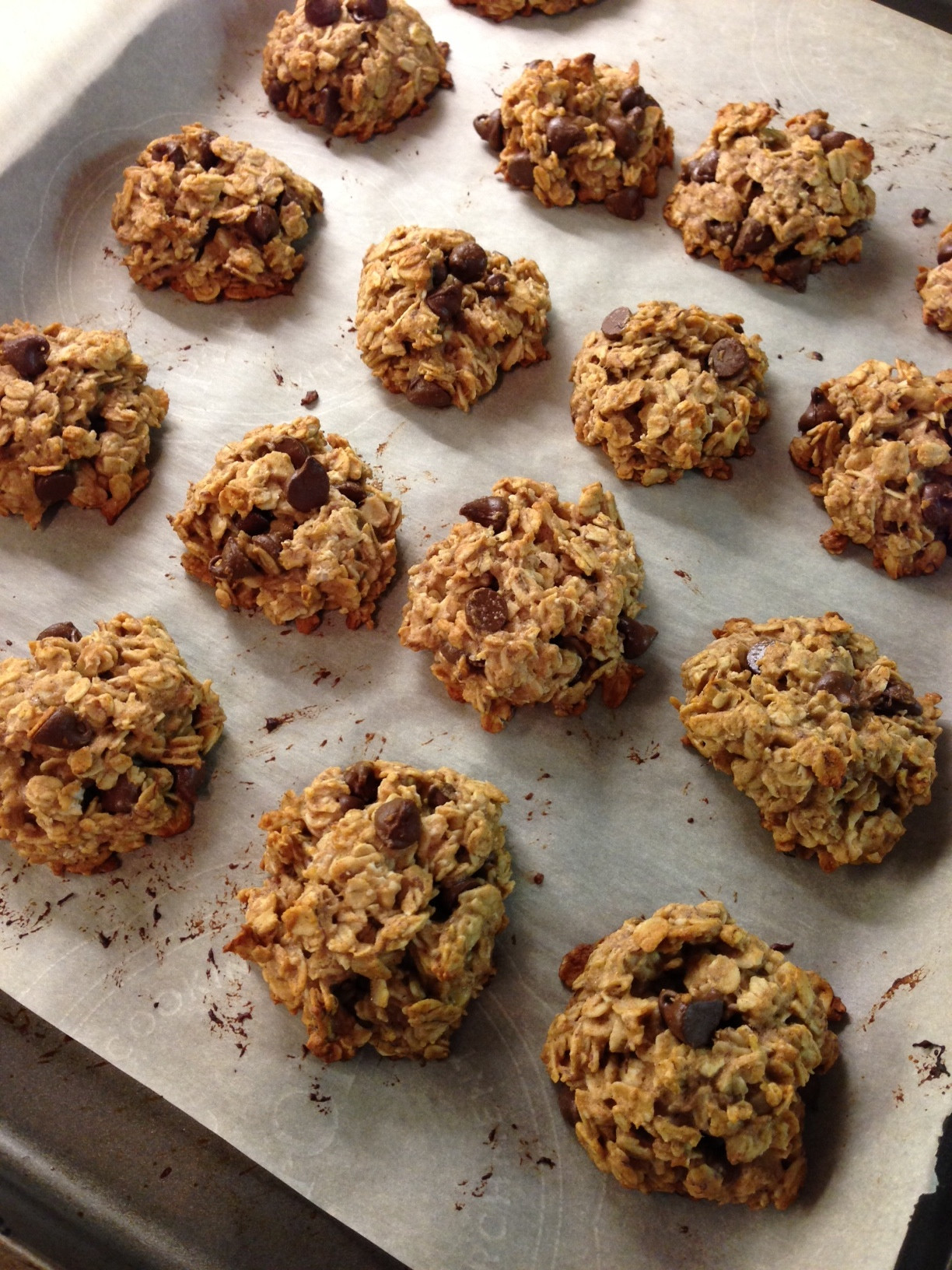 Chocolate Chip Oatmeal Cookies Healthy
 Healthy Oatmeal Chocolate Chip Cookies Lauren Follett
