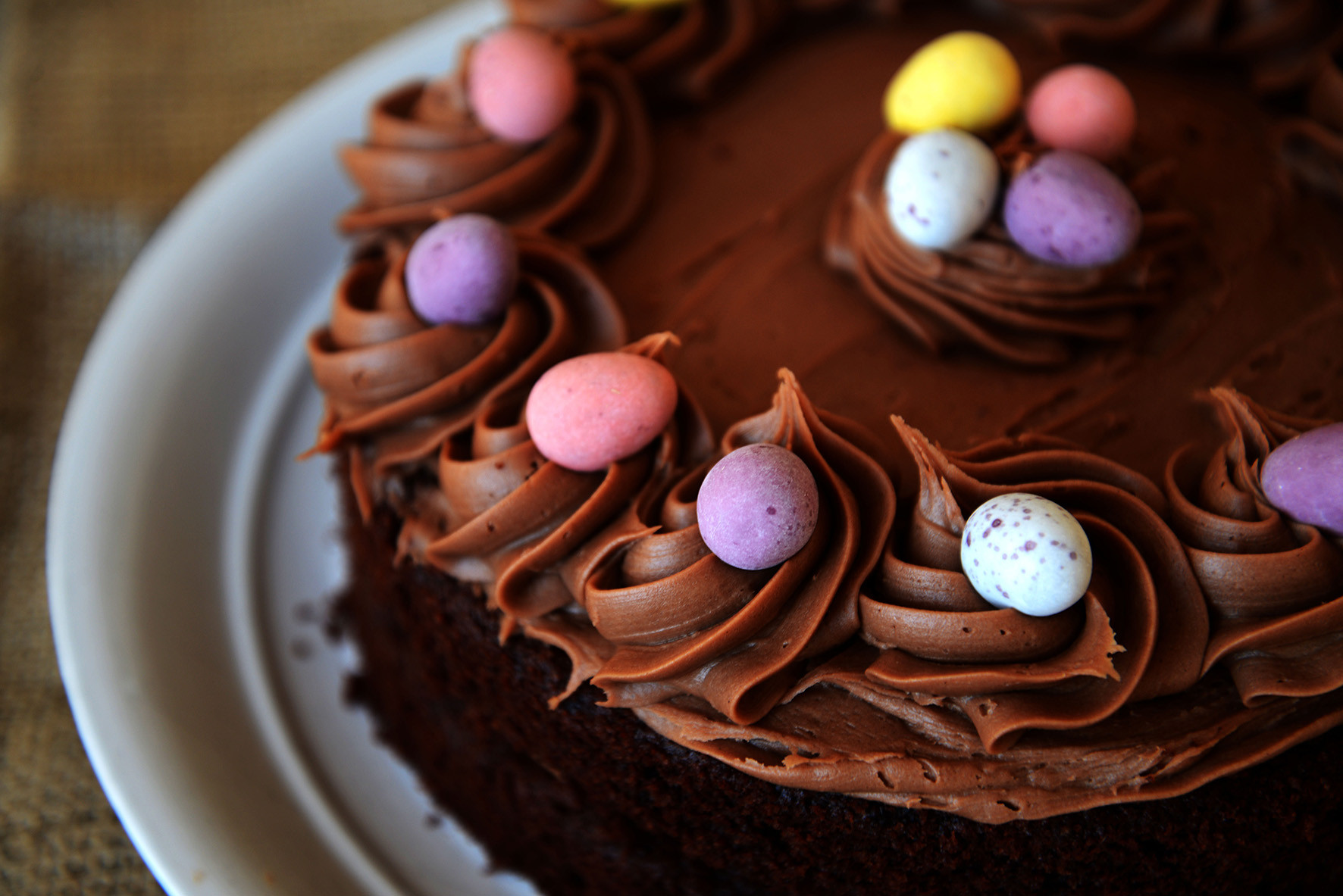 Chocolate Easter Cake
 Easter Champion Chocolate Cake Jackson s Bakery