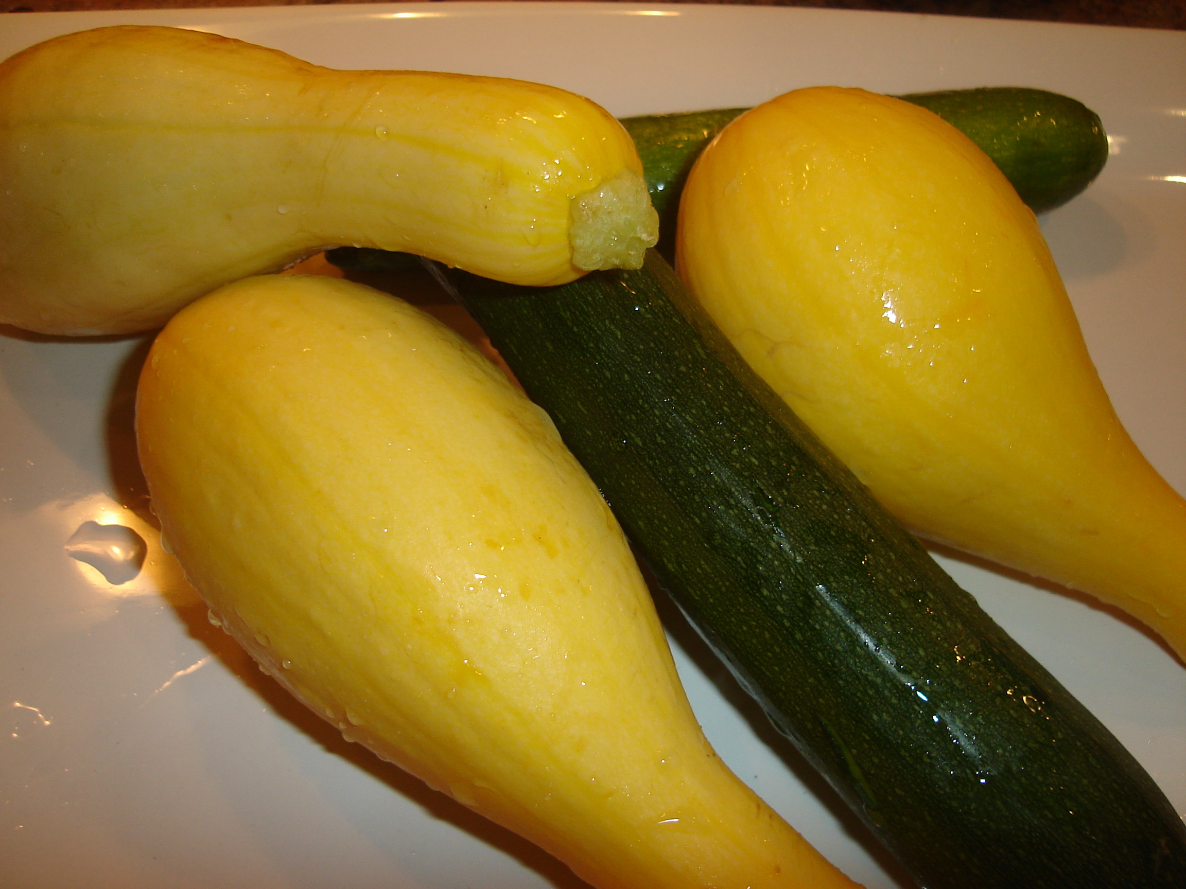 Cooking Summer Squash
 Cooking With Elise – The Land of Summer Squash Plenty