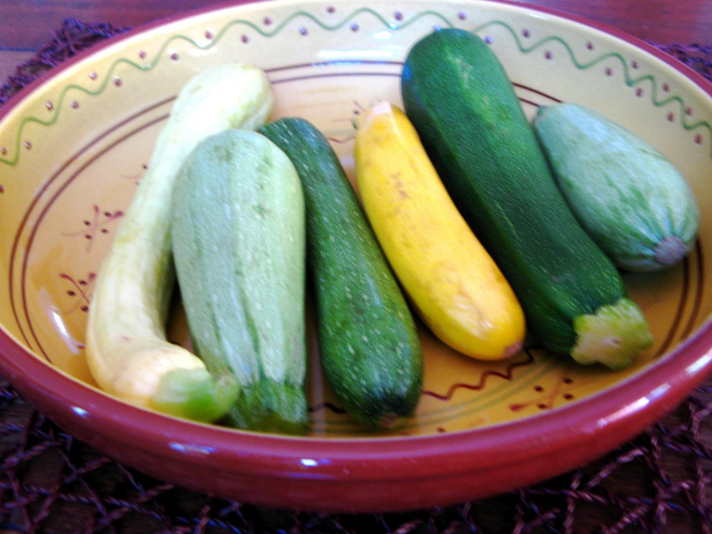 Cooking Summer Squash
 summer squash