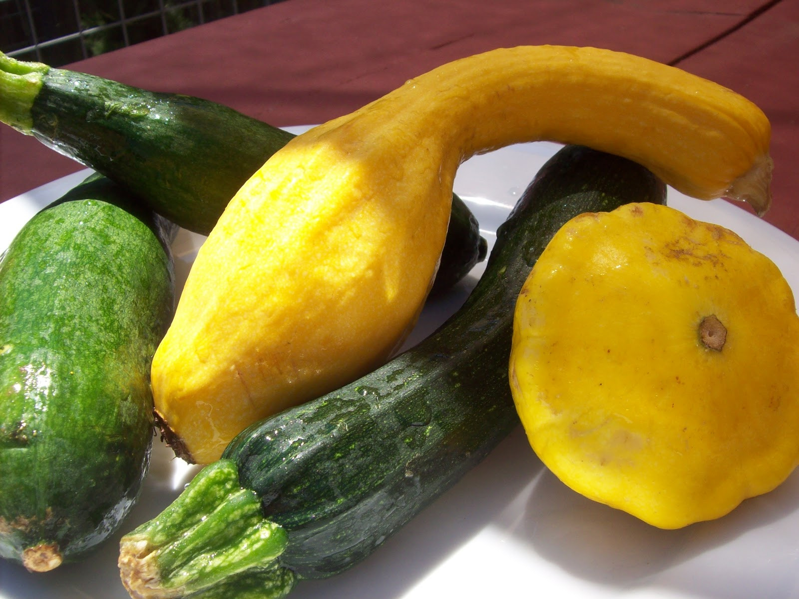 Cooking Summer Squash
 Napa Farmhouse 1885™ a recipe for healthy summer squash