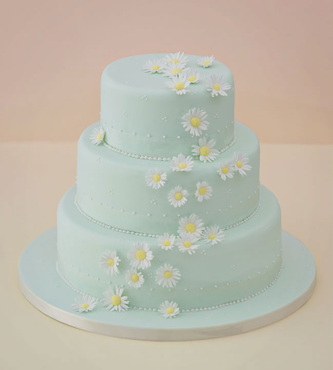 Daisy Wedding Cakes
 Celebration & Wedding Cakes By Sarah Louise Hampshire