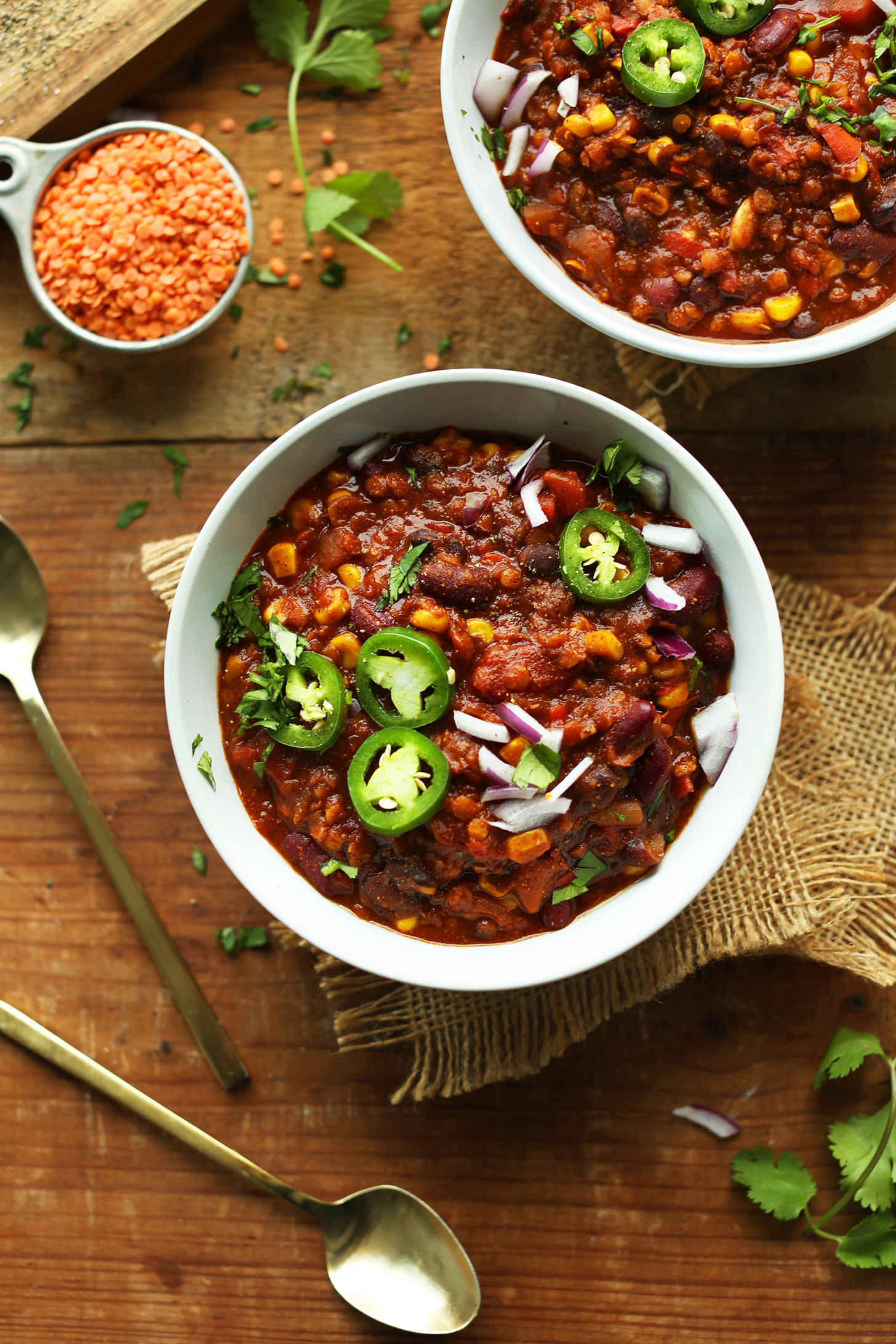 Delicious Healthy Vegan Recipes
 1 Pot Red Lentil Chili