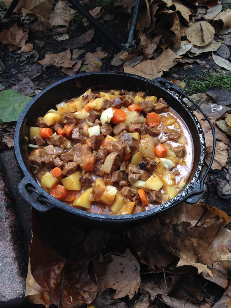 Dutch Oven Beef Stew Camping
 11 best images about dutch oven cooking on Pinterest