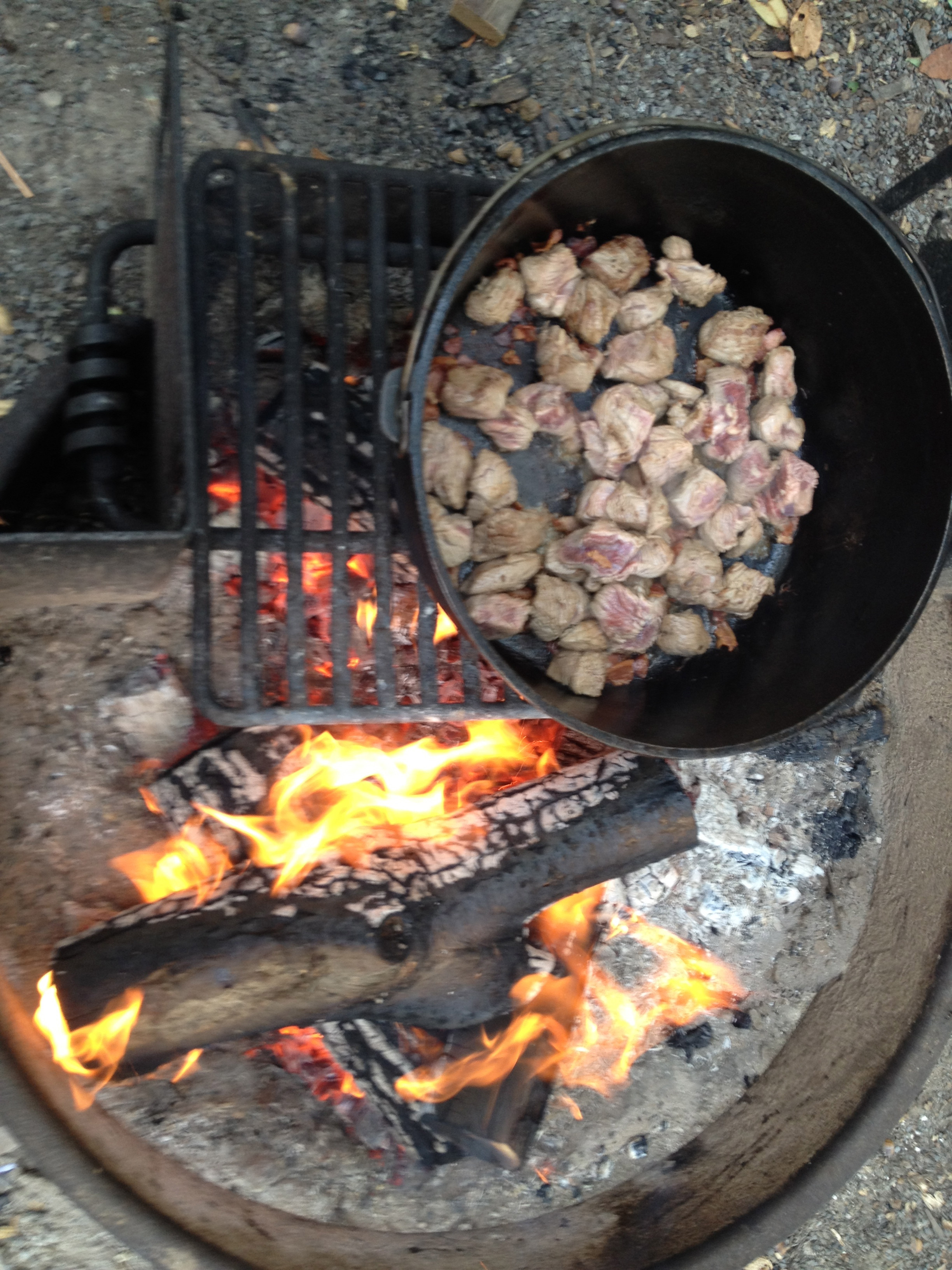 Dutch Oven Beef Stew Camping
 Campfire Dutch Oven Beef & Beer Stew – Get Out Camping