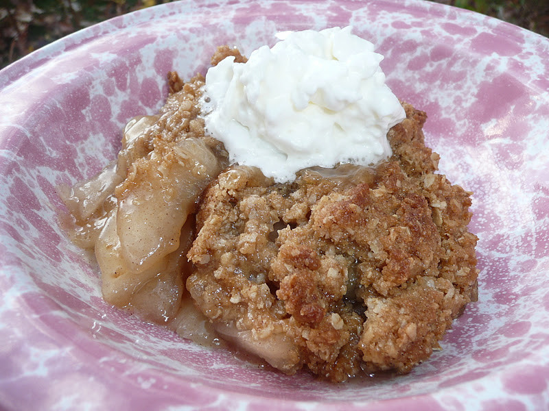 Dutch Oven Desserts Camping
 Everyday Dutch Oven Camper s Crumble