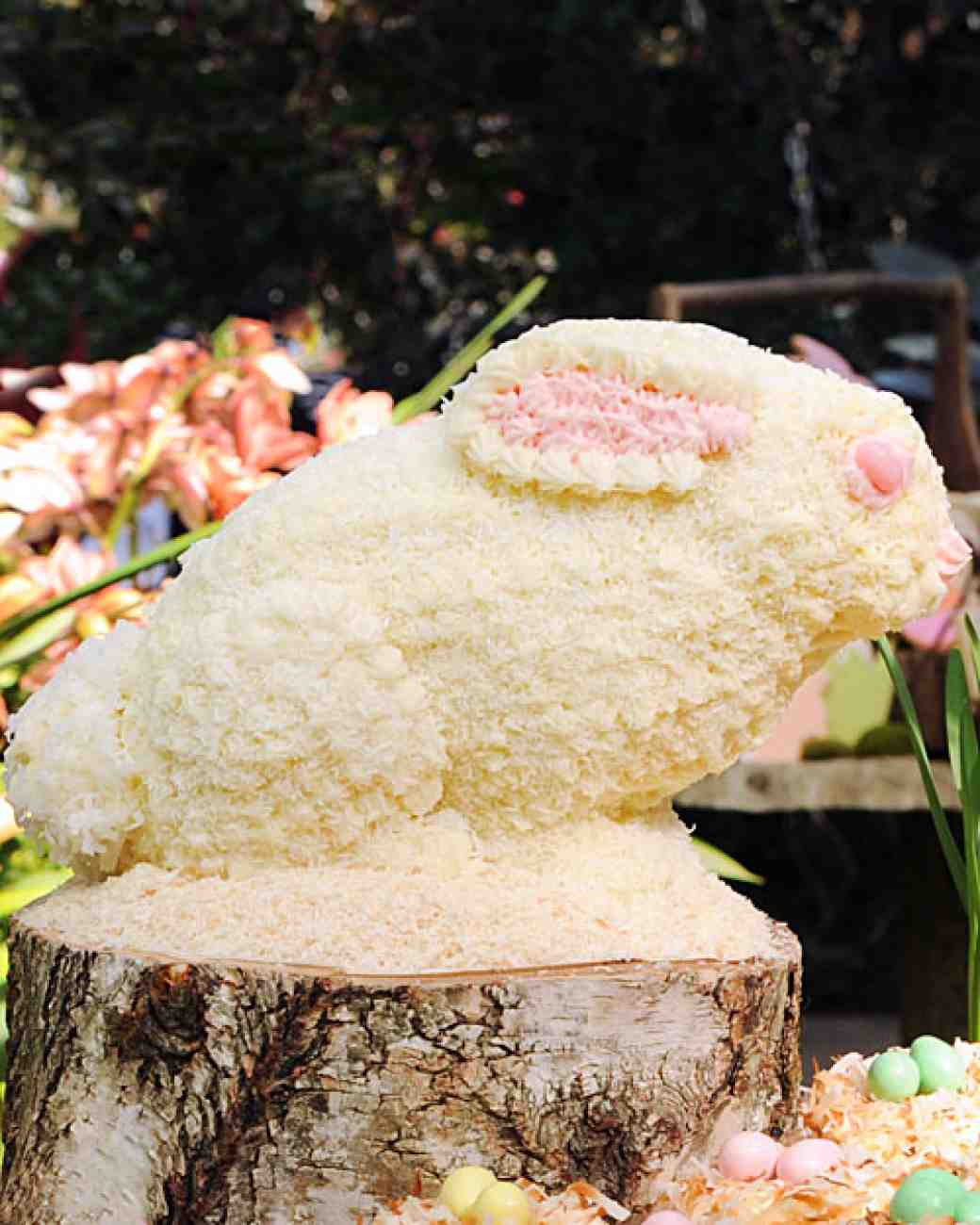 Easter Cake Recipes
 Bunny Cake Recipe