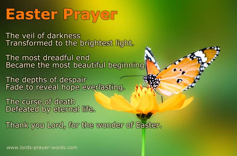 Easter Dinner Blessing
 8 Easter Prayers and Blessings Poem & Quotes