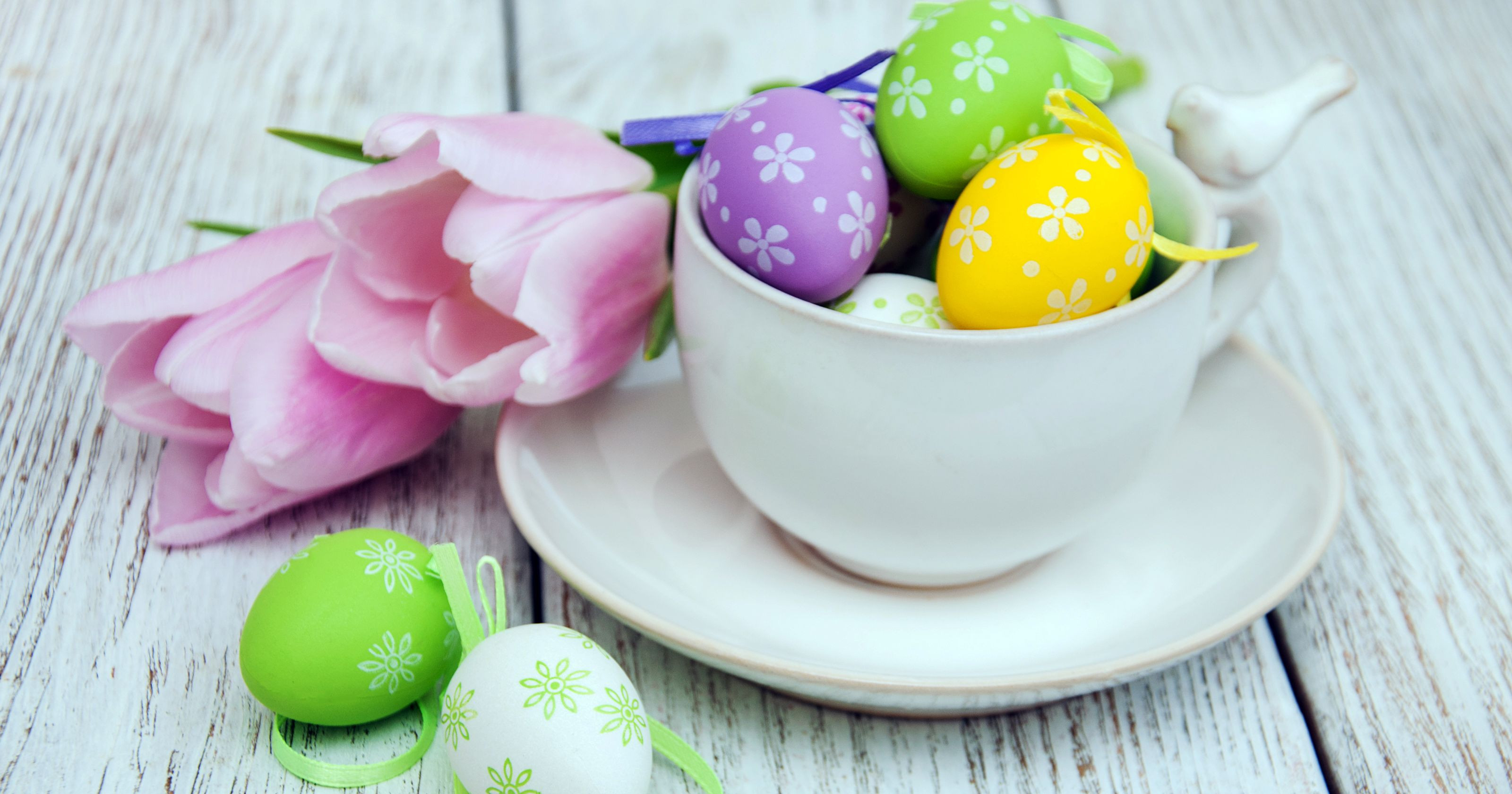 Easter Dinner Specials
 Easter dining Holiday brunch and dinner specials in