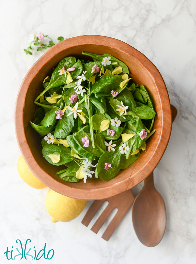 Easter Salads To Make
 The Prettiest Easiest Spring Easter Salad with Edible