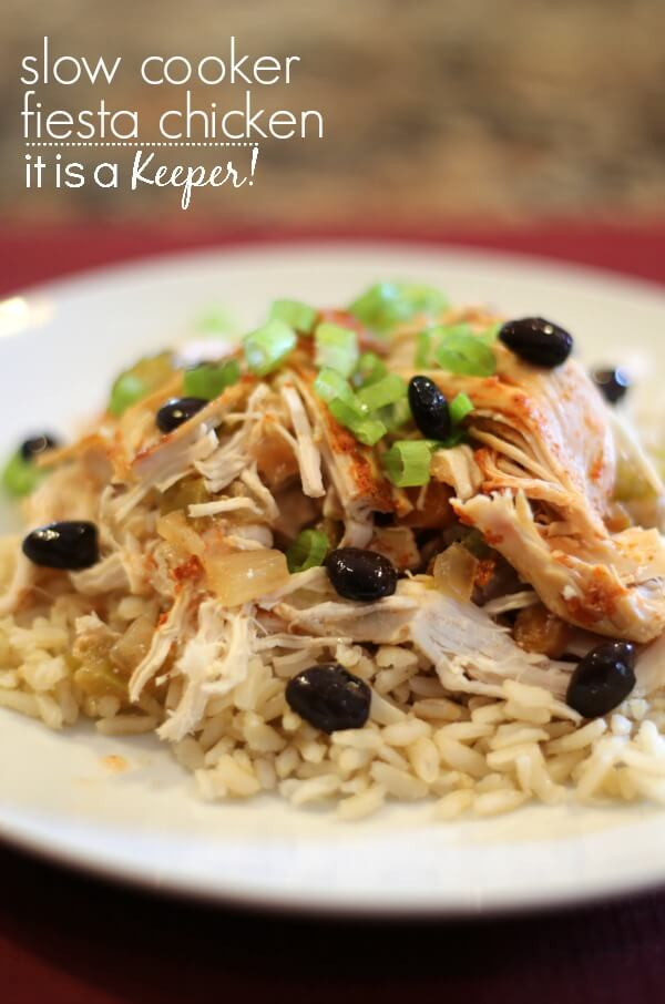 Easy And Healthy Slow Cooker Recipes
 Slow Cooker Fiesta Chicken