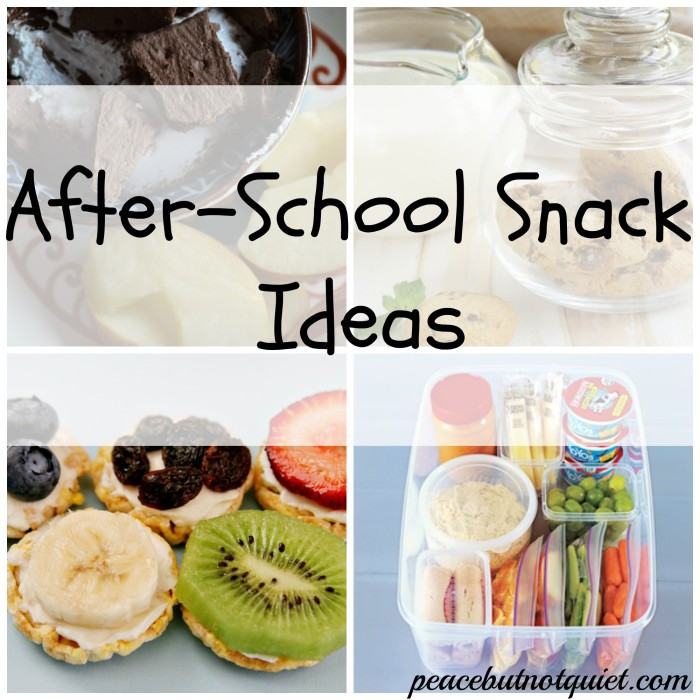 Easy Healthy Afterschool Snacks
 10 Easy After School Snacks