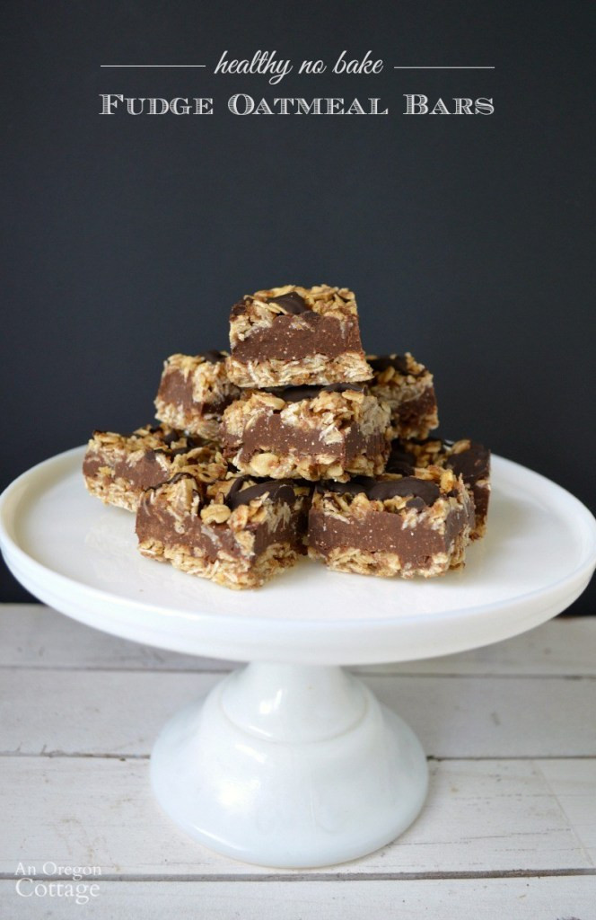 Easy Healthy Desserts No Bake
 Healthy No Bake Fudge Oatmeal Bars Gluten Free