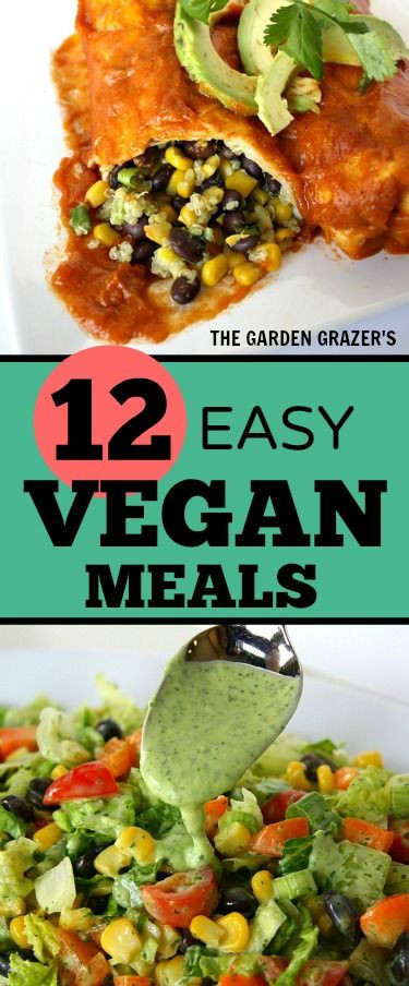 Easy Healthy Vegan Dinners
 12 Easy Satisfying Vegan Meals