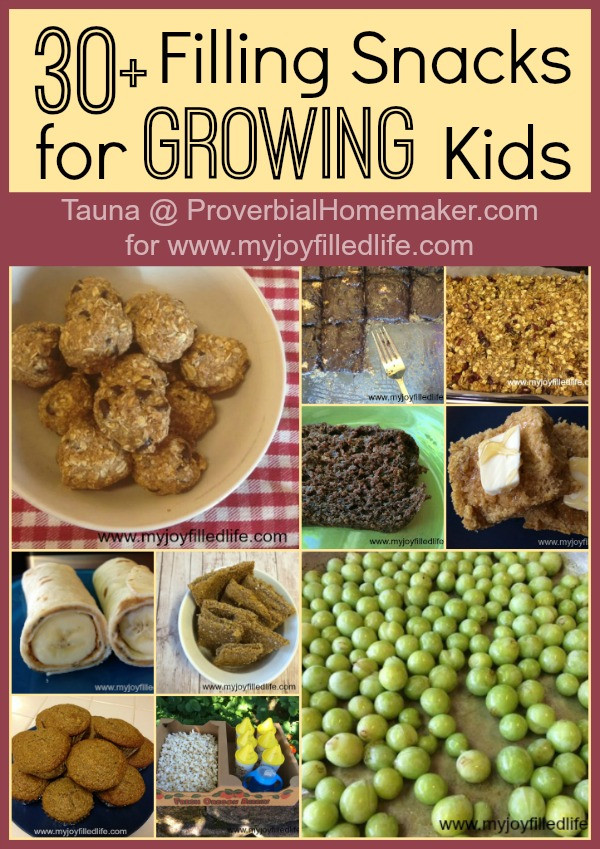 Filling Healthy Snacks
 30 Filling Snacks for Growing Kids Proverbial Homemaker