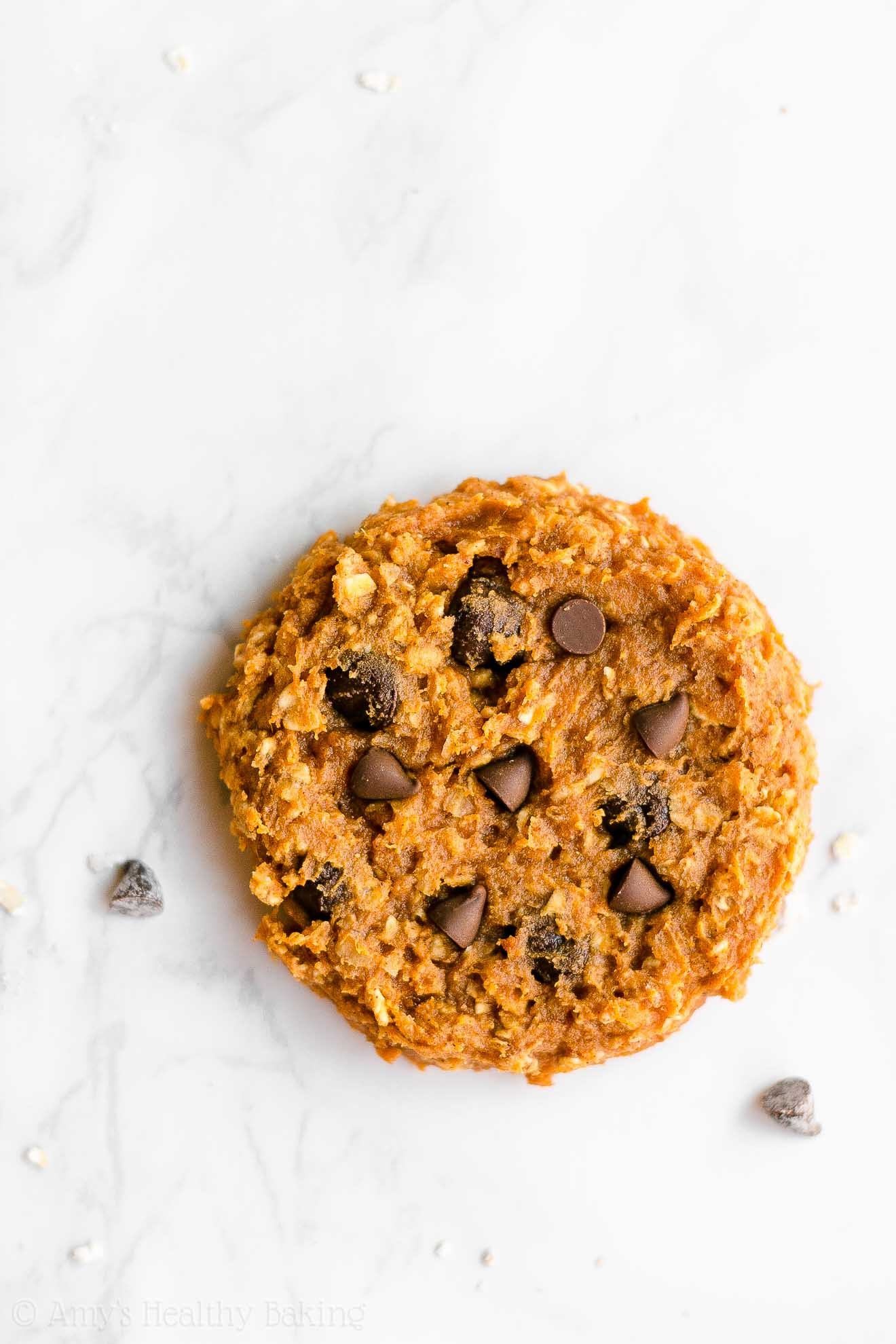 Flourless Oatmeal Cookies Healthy
 Healthy Flourless Pumpkin Chocolate Chip Oatmeal Protein