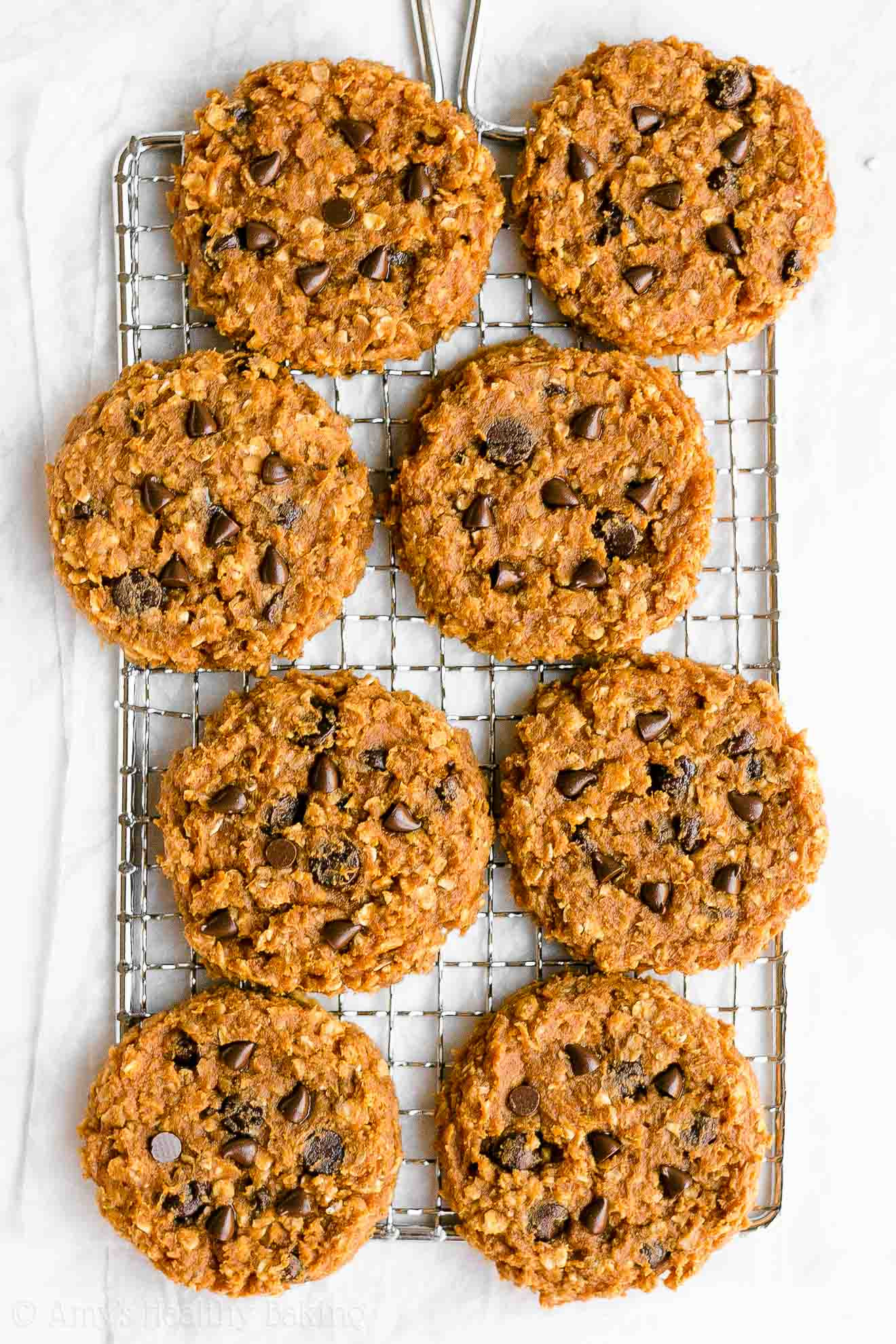 Flourless Oatmeal Cookies Healthy
 Healthy Flourless Pumpkin Chocolate Chip Oatmeal Protein