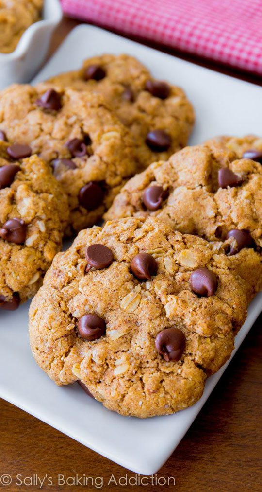 Flourless Oatmeal Cookies Healthy
 Flourless Peanut Butter Oatmeal Cookies Sallys Baking