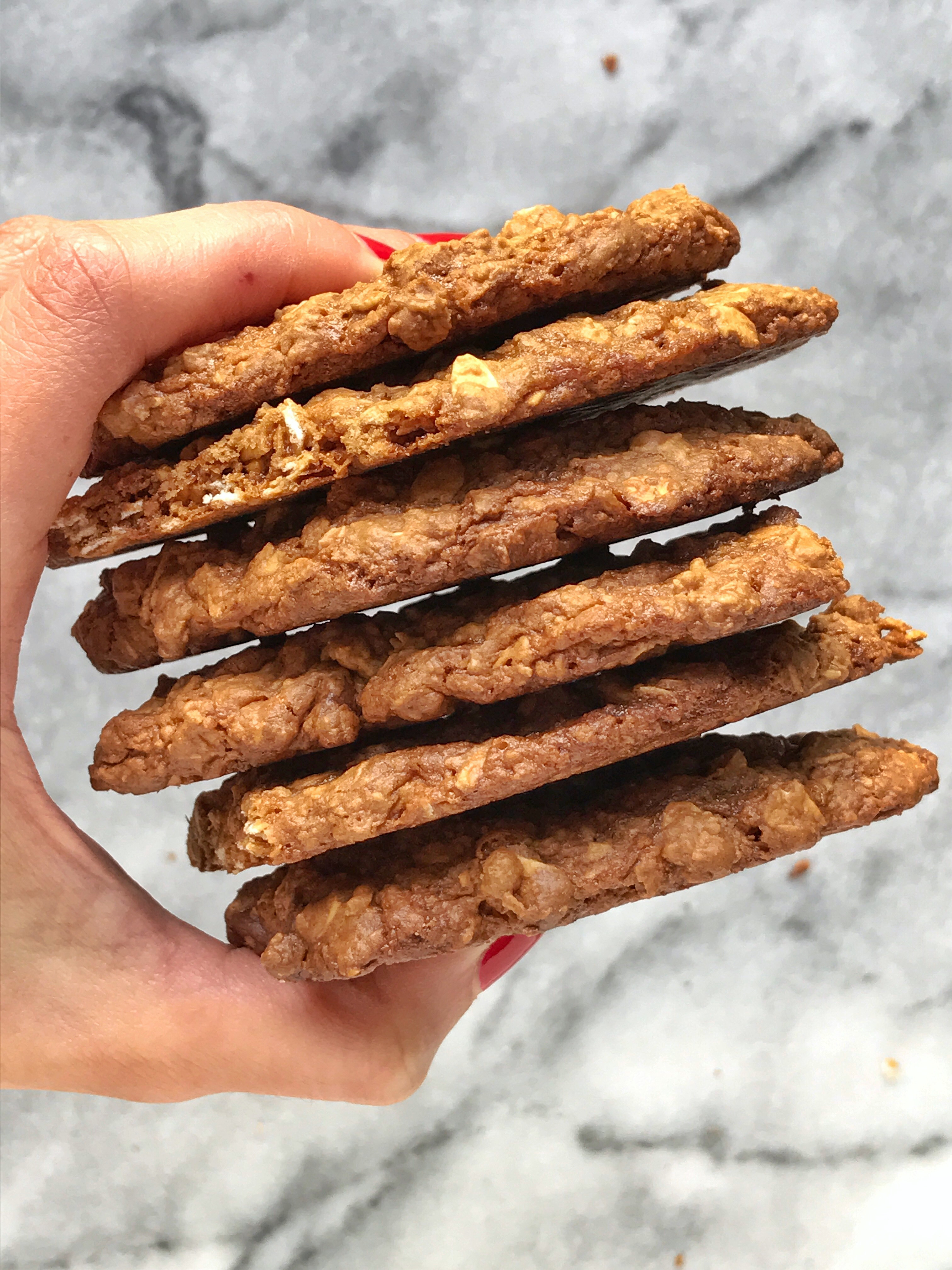 Flourless Oatmeal Cookies Healthy
 Flourless Chocolate Chip Oatmeal Cookies Leah s Plate