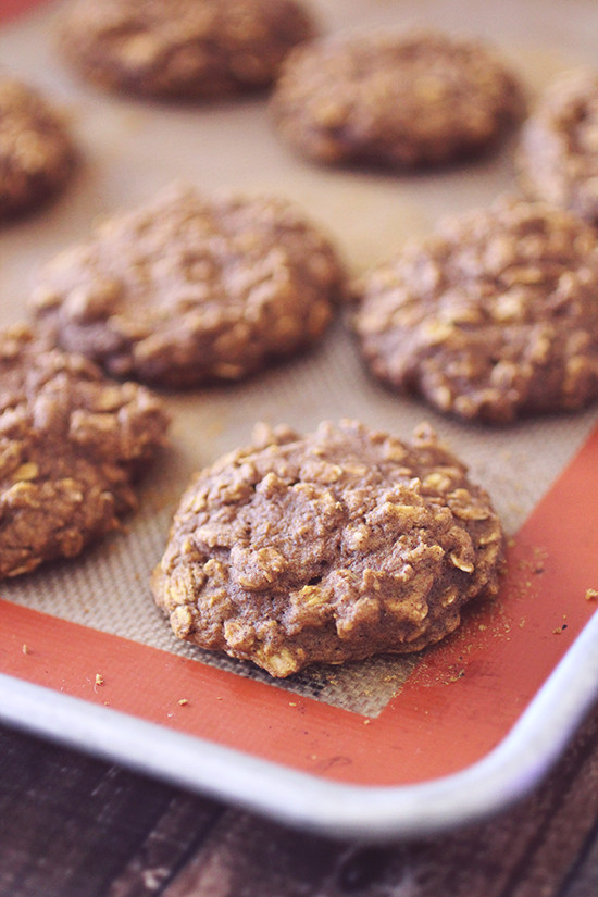 Flourless Oatmeal Cookies Healthy
 Flourless Pumpkin Oatmeal Cookies — Dashing Dish