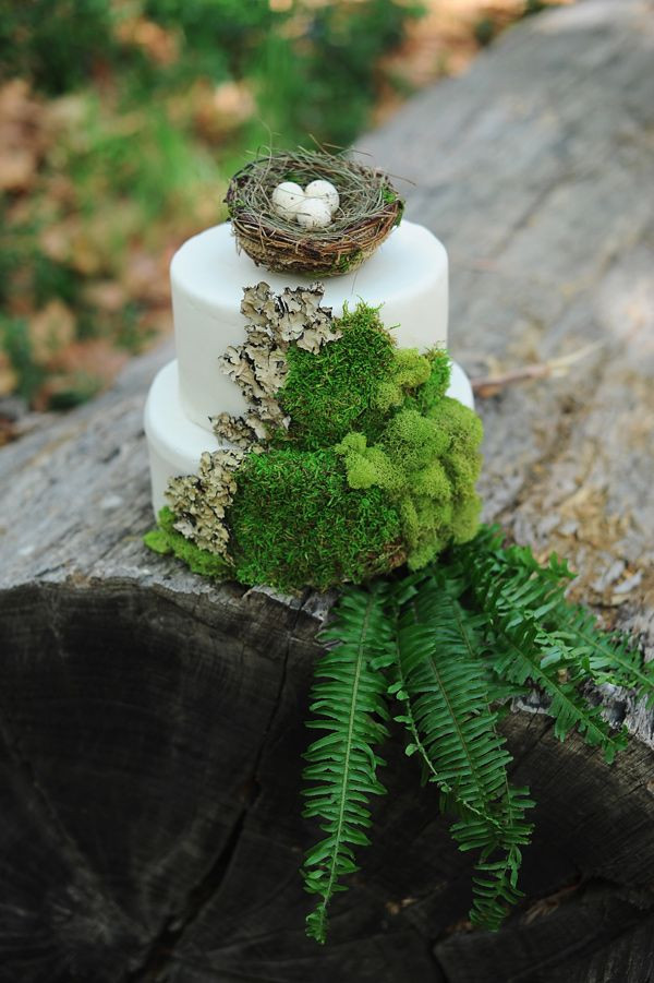 Forest Wedding Cakes
 Inspired by Forest Fairytale Weddings Wedding