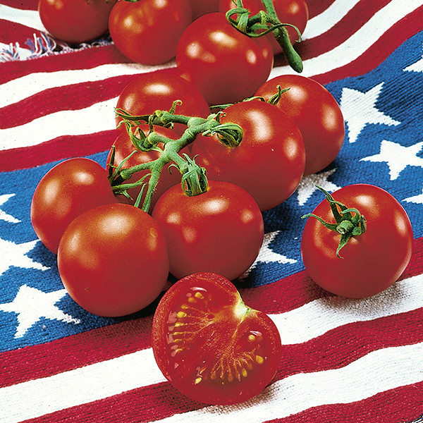 Fourth Of July Tomato
 Space Savers Collection