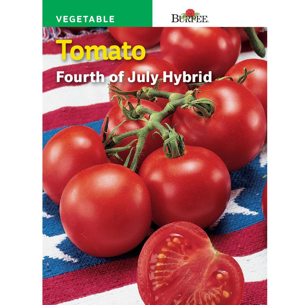 Fourth Of July Tomato
 Gurney s Tomato Zebra Cherry Hybrid 25 Seed Packet