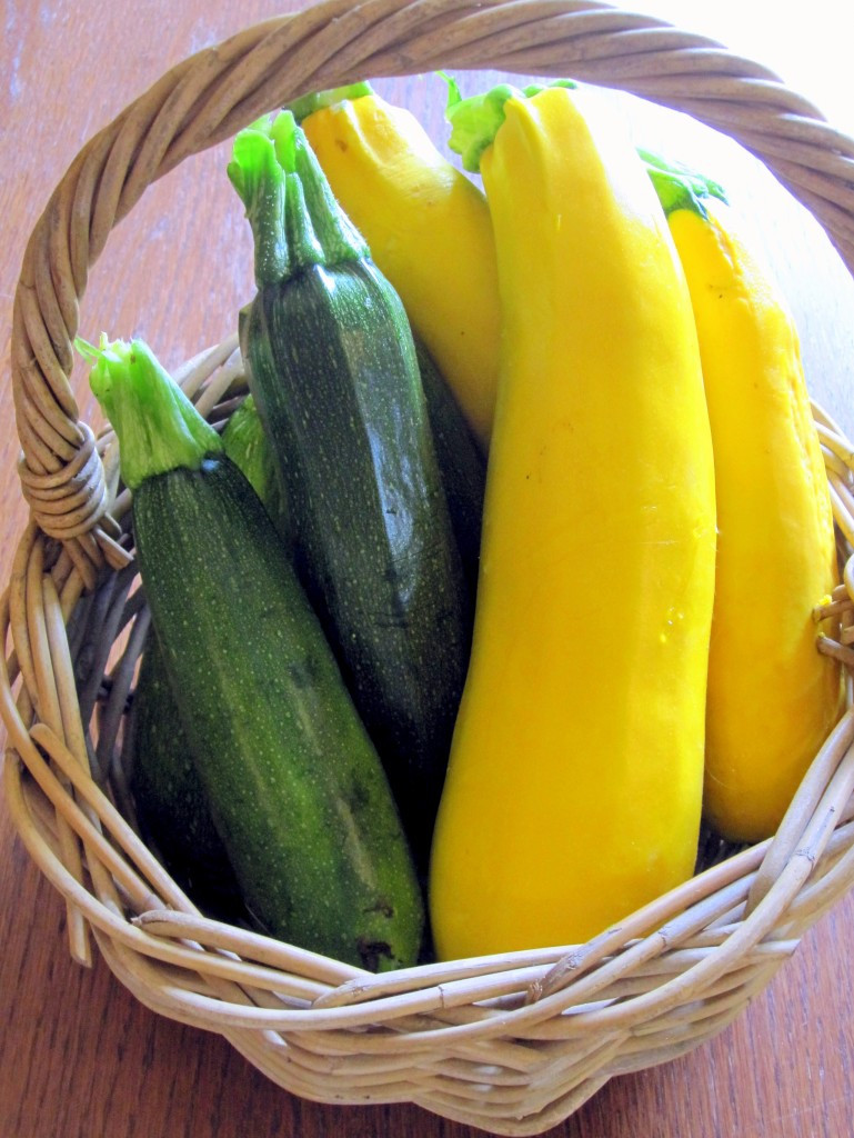 Freezing Summer Squash
 How to Freeze Zucchini and Summer Squash Counting My