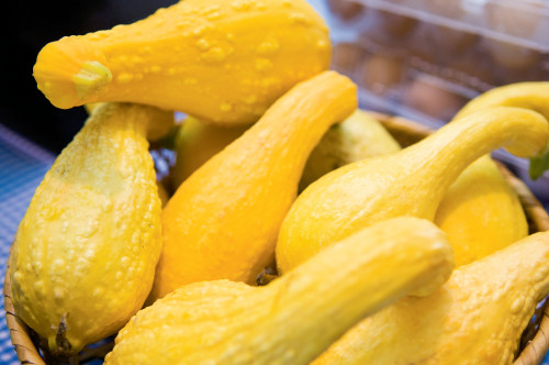 Freezing Summer Squash
 How to Blanch & Freeze Summer Squash Tennessee Home and Farm