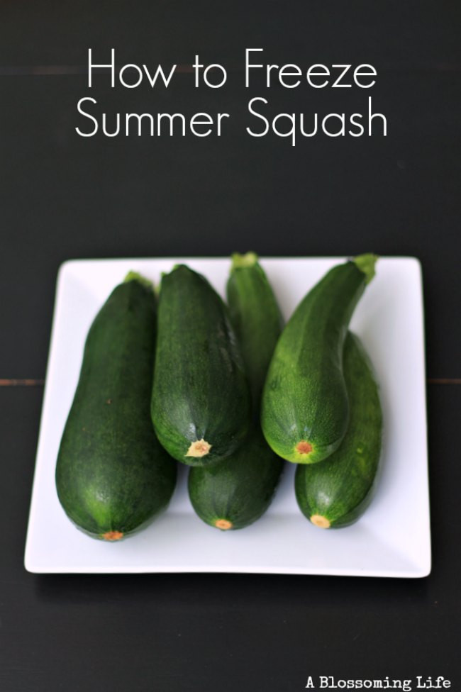 Freezing Summer Squash
 How to Freeze Summer Squash A Blossoming Life