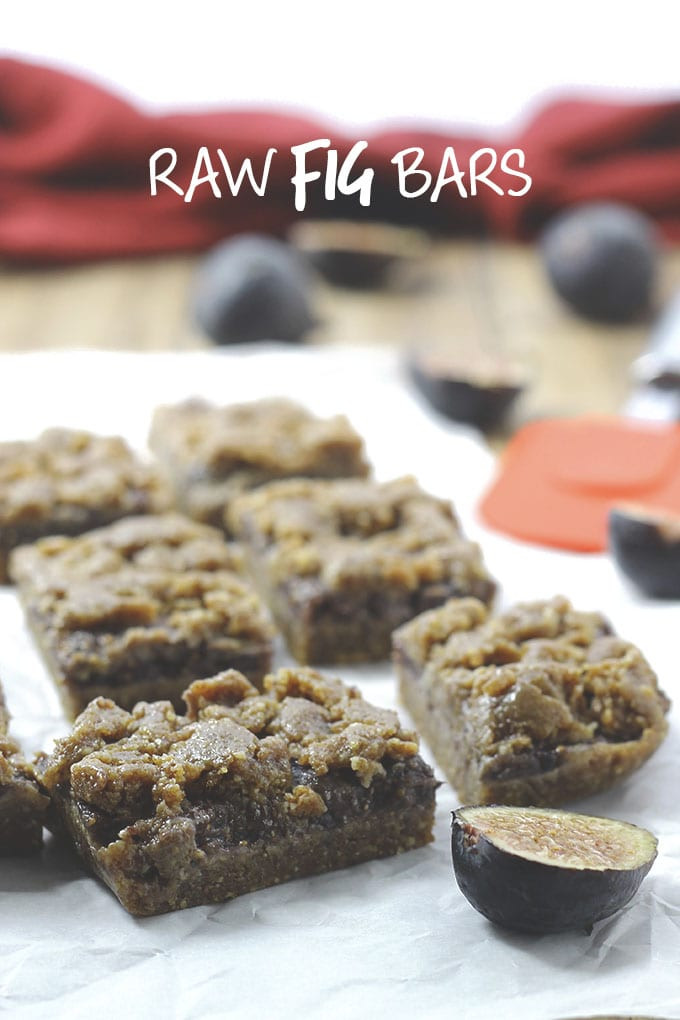 Fresh Fig Recipes Healthy
 Raw Fig Bars The Healthy Maven