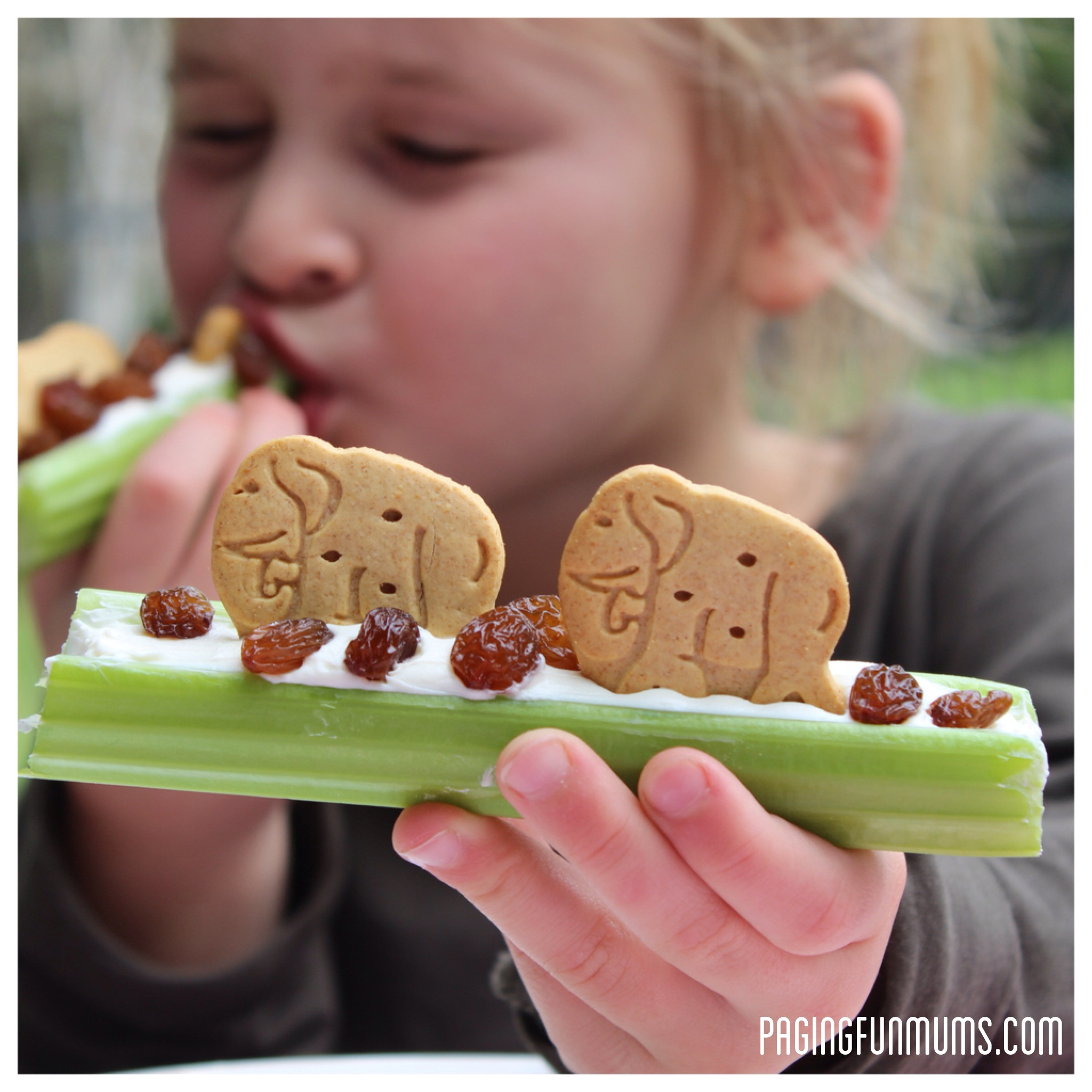 Fun Healthy Snacks
 Healthy & FUN After School Snack Celery Animal Snacks