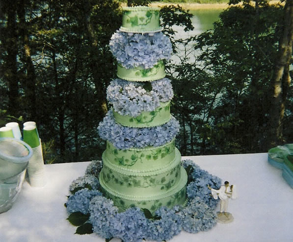 Gatlinburg Wedding Cakes
 Wedding cakes gatlinburg tn idea in 2017