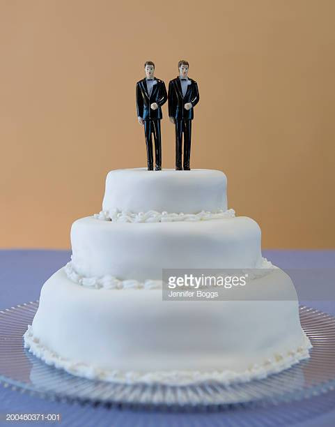 Gay Wedding Cakes Pictures
 Gay Wedding Cakes Stock s and