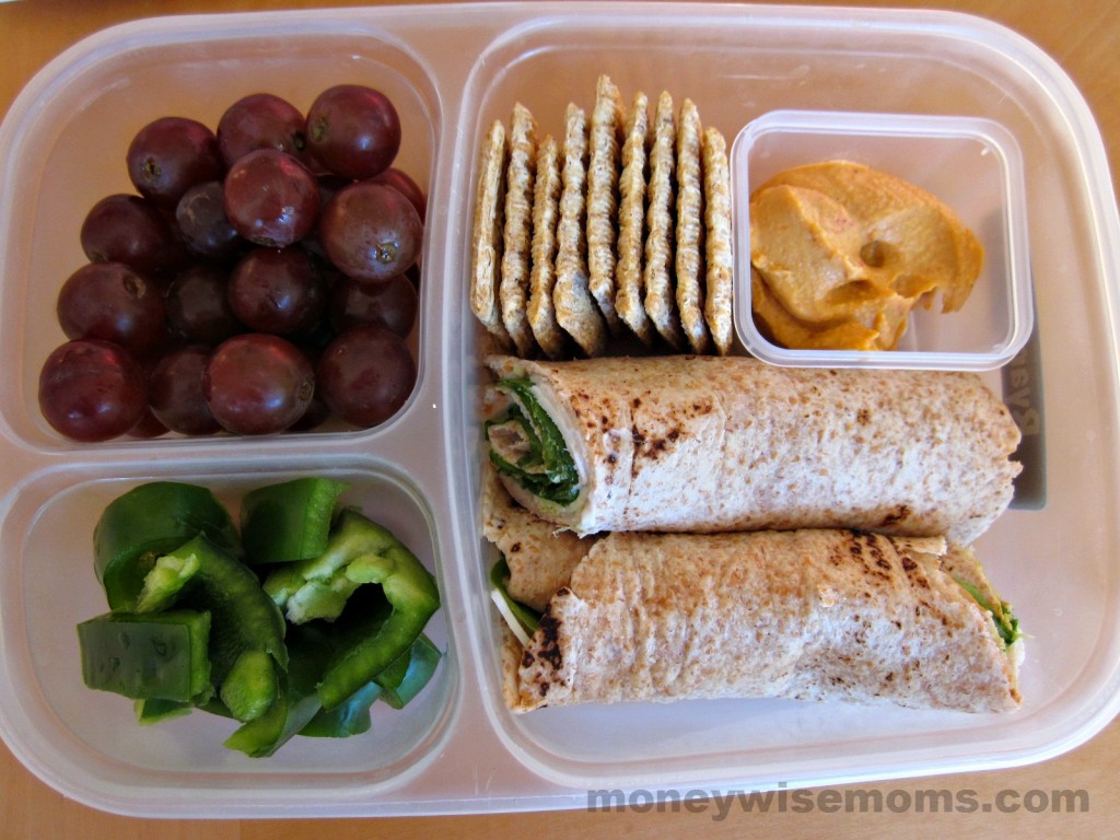 Good Healthy Lunches For School
 Healthy School Lunches My Kids Faves Moneywise Moms