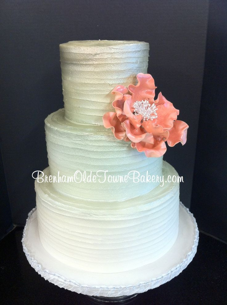 Haydels Wedding Cakes
 metallic ombre rustic buttercream wedding cake