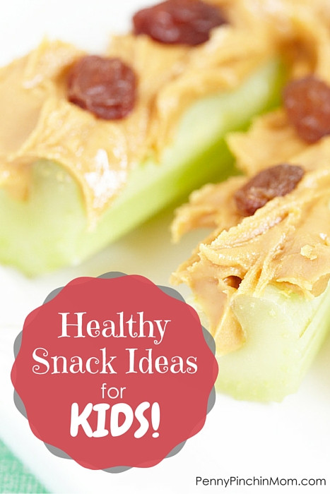 Healthy Affordable Snacks
 Healthy Snack Ideas for Kids