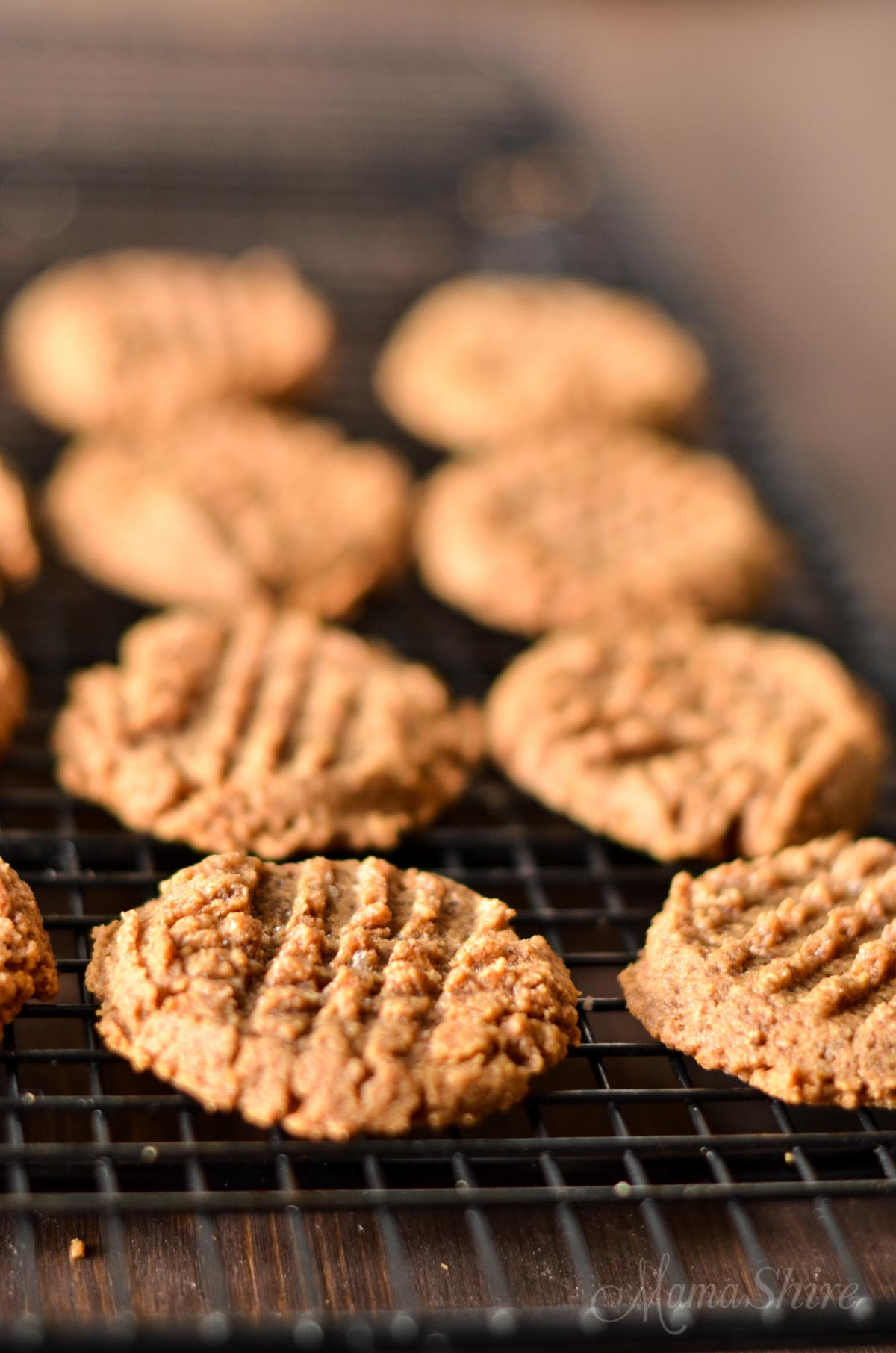 Healthy Almond Butter Cookies
 healthy almond butter cookies