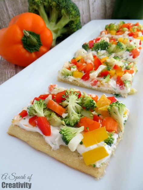 Healthy Appetizers For Kids
 Easy Ve able Pizza Appetizer A Spark of Creativity