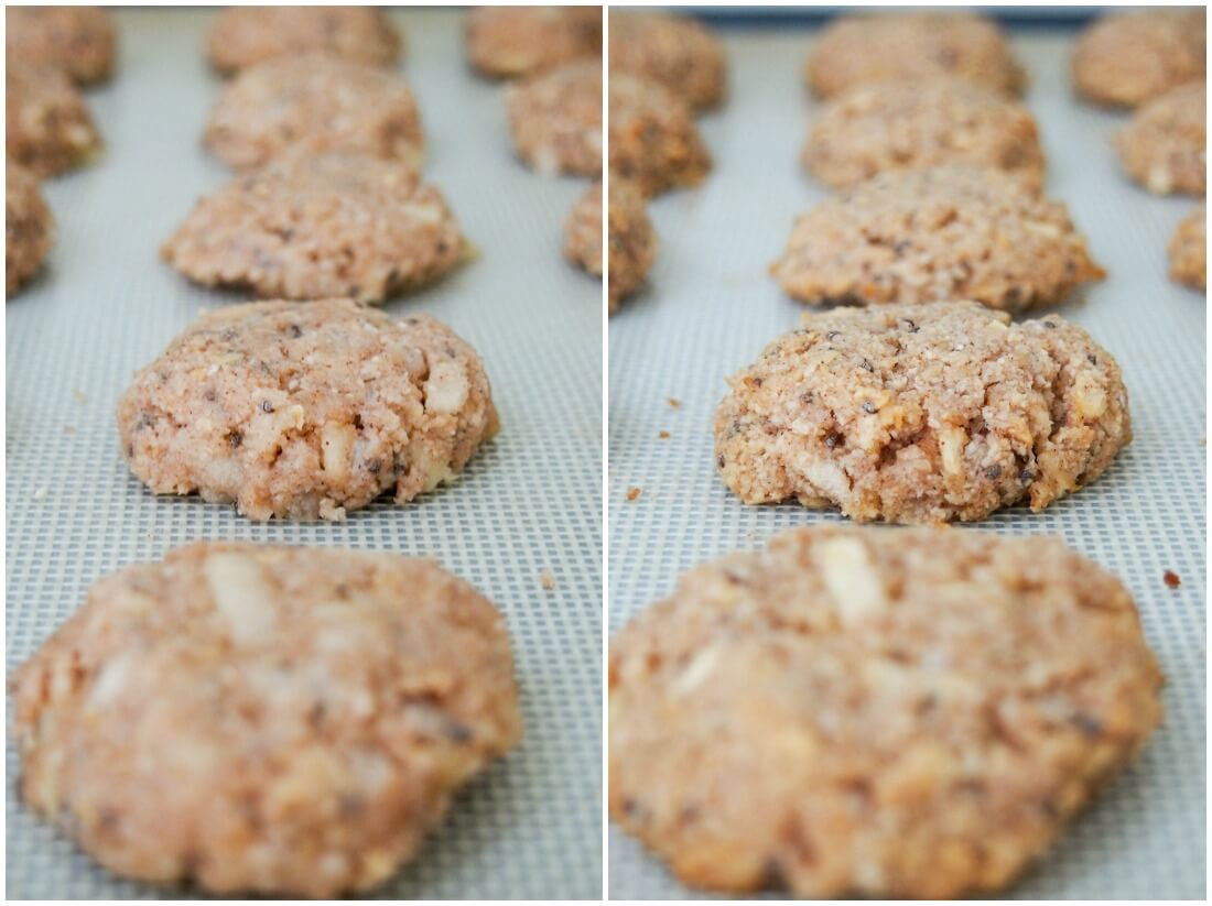 Healthy Apple Oatmeal Cookies
 Healthy apple oatmeal cookies GF vegan Caroline s Cooking