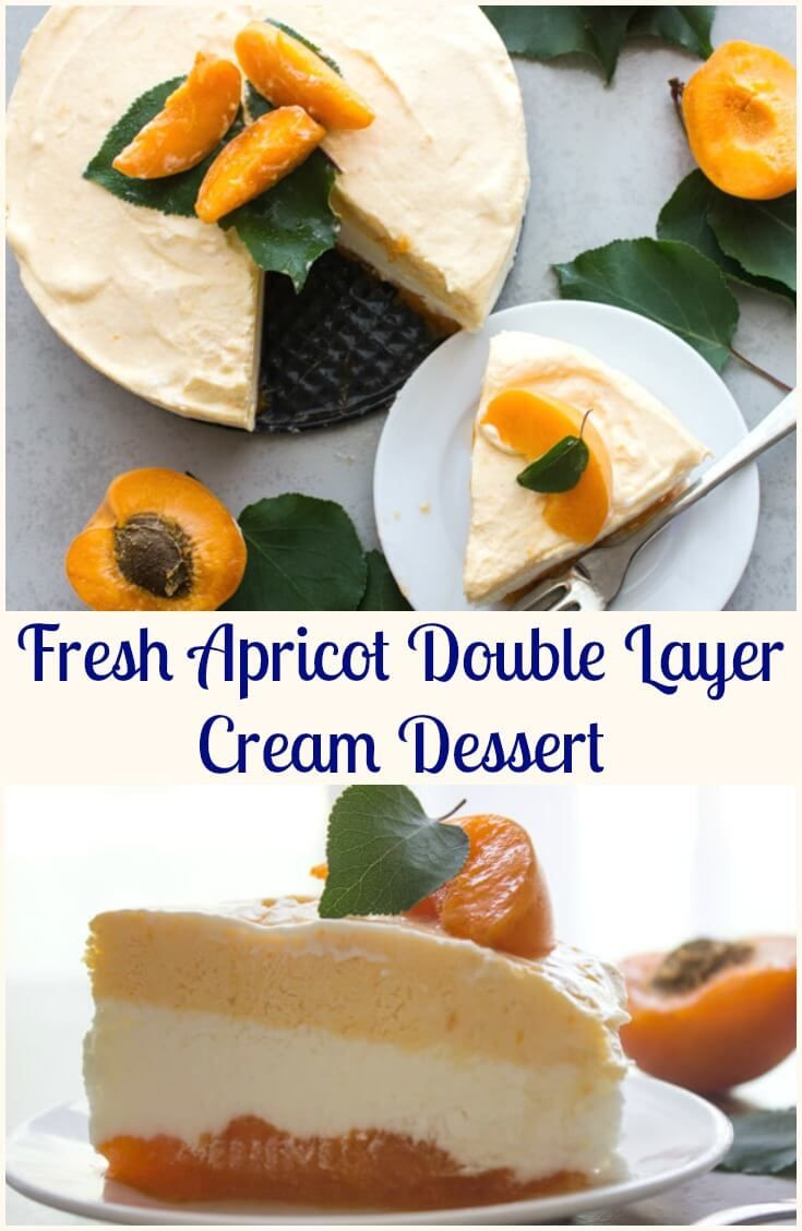 Healthy Apricot Recipes
 Fresh Apricot Double Layer Cream Dessert an easy fresh